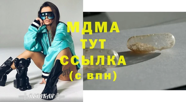индика Киреевск
