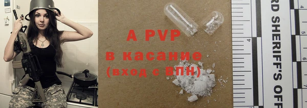 индика Киреевск