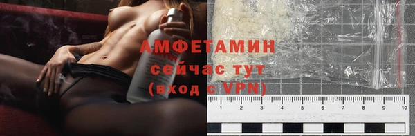 индика Киреевск