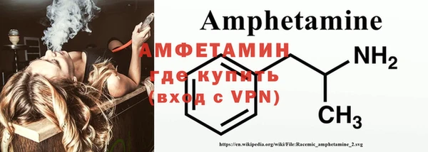 индика Киреевск