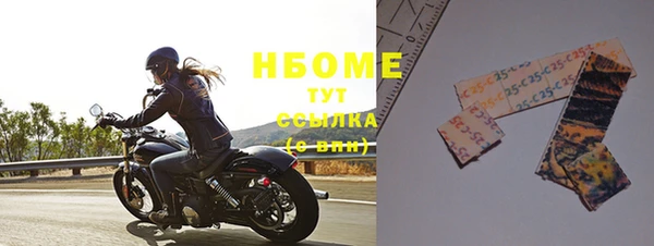 индика Киреевск