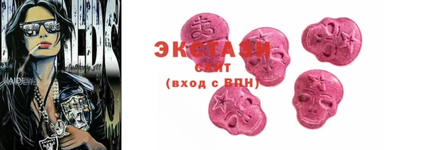 индика Киреевск