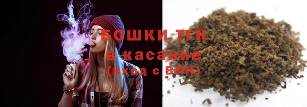 ПСИЛОЦИБИНОВЫЕ ГРИБЫ Козловка