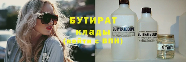 индика Киреевск