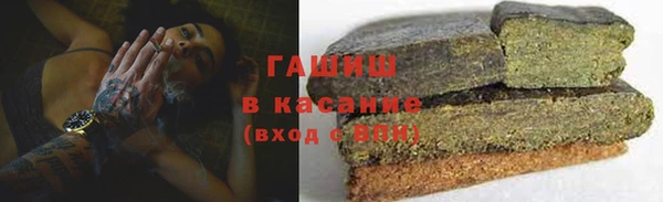 индика Киреевск
