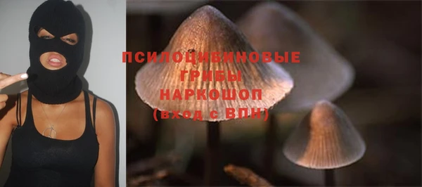 индика Киреевск
