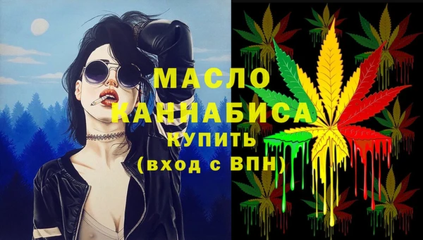 индика Киреевск