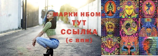 твердый Коряжма