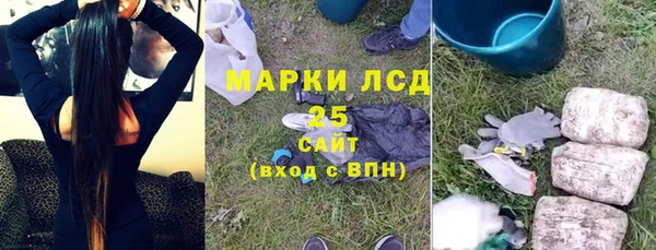индика Киреевск