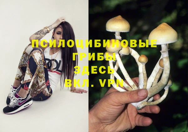 прущий лед Киренск