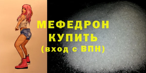 индика Киреевск