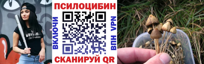 Купить где  Иланский  Галлюциногенные грибы мухоморы 